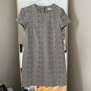 NWT Calvin Klein Dress